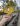image00002-result