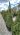 image00042-result
