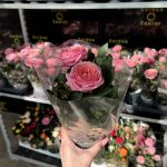 Rosa mix