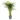 150-160cm-dypsis-lutescens-27cm-hydro-pot-338480