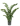 8NGCZAM020