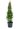 Thuia-Smaragd-2LT-AVX2206512