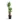 Yucca-elephantipes-Spineless-Yucca-27x140cm-3stems-5000x