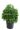 cryptomeria-japonica-globosa-nana-clt-20-40-50-2-copia-AVX2206121(1)