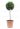cupressocyparis-leilandii-pyramidalis-lv9-alberetto-copia-AVX2206123(1)