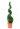 cupressocyparis-ley-castlewelland-gold-lv24-spirale-2-copia-AVX2206126(1)