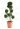 cupressocyparis-leyl-castlewelland-gold-lv14-pompons-copia-AVX2206127(1)