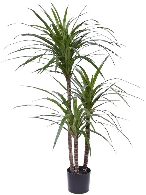 dracaena-marginata-artificial-plant-premium-faux-100cm-height-artificial-plants-119769