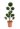cupressocyparis-leyl-pyramidalis-(2001)-lv14-pompons-2-copia-AVX2206128