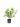 hydrangea-paniculata-in-varieta-clt-10-2-copia-AVX2206262