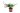 juniperus-rockery-mixed-CLT3-AVX2206279