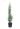 juniperus-virginiana-skyrocket-clt-15-copia-AVX2206280(1)