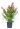 lagerstroemia-indica-in-varieta-clt15-100-125-2-copia-AVX2206287