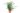buddleya-davidii-in-varieta-lv9-trio-2-copia-AVX2206053