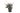 loropetalum-chinense-black-pearl-clt-10-copia-AVX2206315