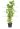 magnolia-soulangeana-clt-30-150-175-2-copia-AVX2206324