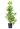 magnolia-susan-clt-18-100-125-copia-AVX2206331