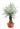 olea-europaea-2-copia-AVX2206377