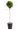 photinia-x-fraserii.-carre-rouge-clt-18-mezzo-fusto-copia-AVX2206409
