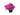 rhododendron-255-2010-AVX2206473