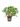 rododendron-copia-AVX2206474