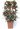 rose-camelie-cornus-rododendro-31-copia-copia-AVX2206489